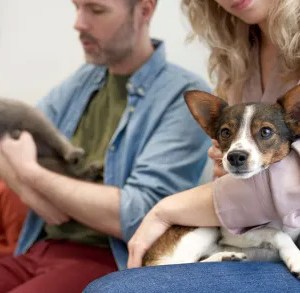 Animal Hospital Care case study